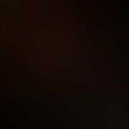 Midnight - Black and tan male Dachshund puppy in Live Oak, Florida from Johnson’s Weiner Farm