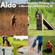 Aldo