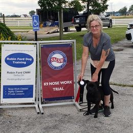 Staffordshire Bull Terrier All Grown Up from Freystaff Staffordshire Bull Terriers