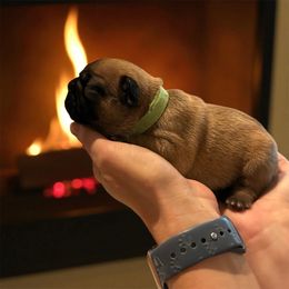 Green - Liver male French Bulldog puppy in Rochester, Washington from Frenchie Bulldog Kisses