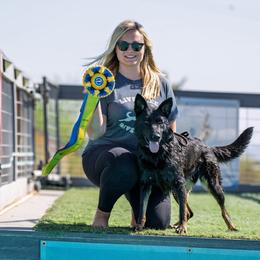 Belgian Malinois and German Shepherd All Grown Up from Légende Vivante Du Chief Kennel