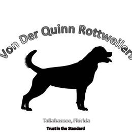 Boy 8 - male Rottweiler puppy in Tallahassee, Florida from Von Der Quinn Rottweilers