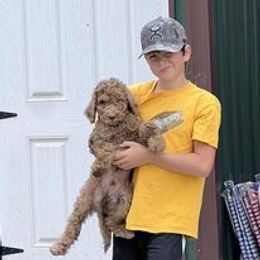 Aussiedoodle, Australian Shepherd, Poodle, Shihpoo, and Shih Tzu Puppies from Rockiń N Kennel