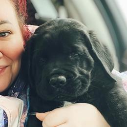 Girl 9 - Mastiff puppy in Frederic, Michigan from ACM Mastiffs