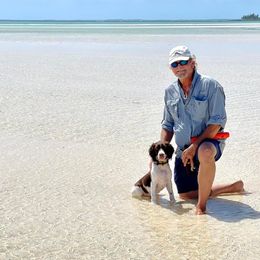English Springer Spaniel Puppies from Spradley Springers