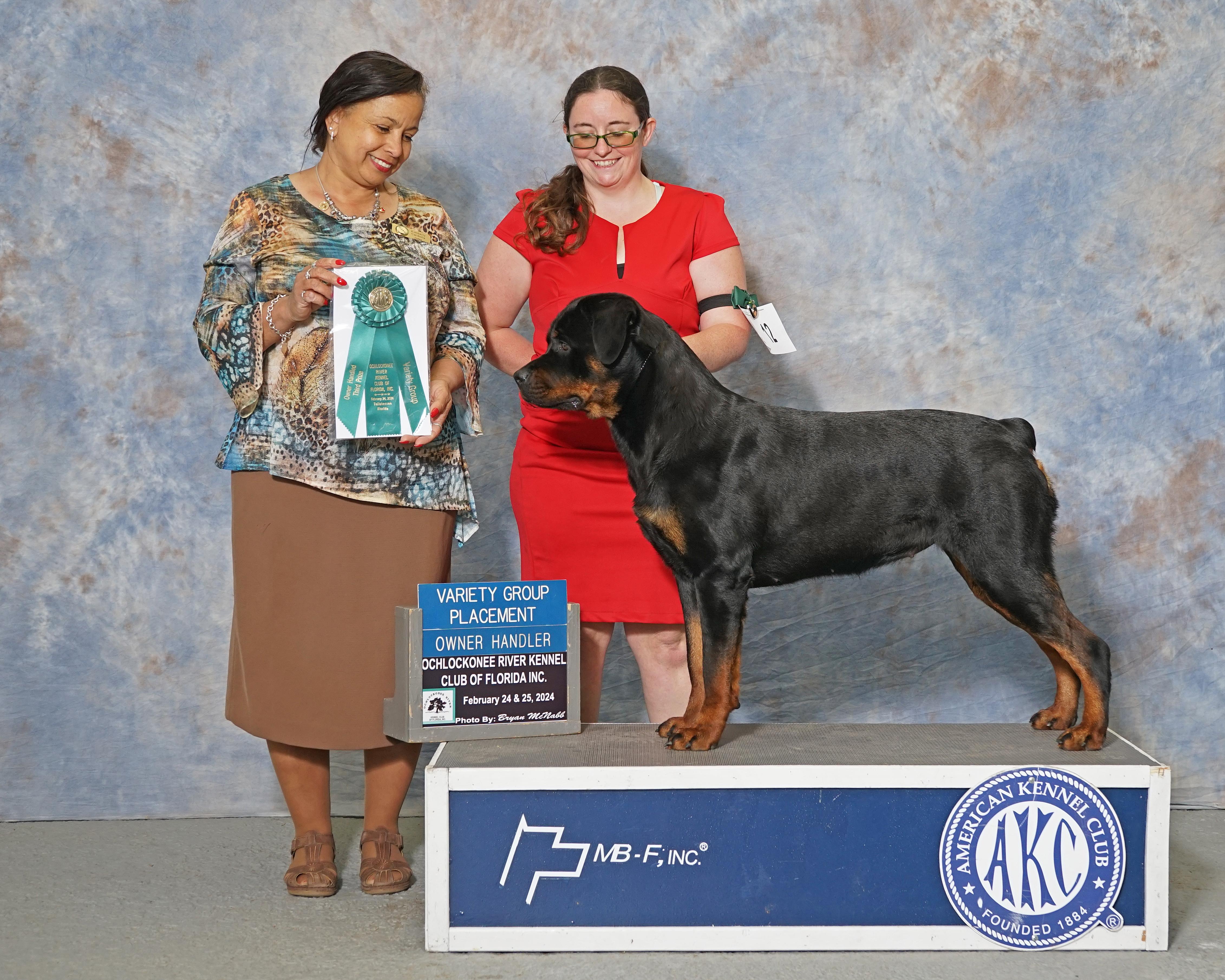 Guinea Rottweilers Dragonflytkennels in Georgia | Rottweiler puppies | Good Dog