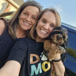 Aussiedoodle, Cockapoo, and Goldendoodle Puppies from Hilltop Doodles KY LLC