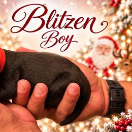 Blitzen - Black and mahogany male Rottweiler puppy in Montrose, Colorado from TruHero Dog Kennel