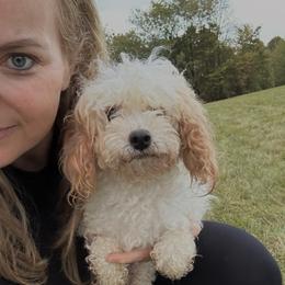 Candy - Poodle