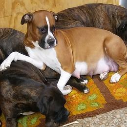 Boxers from Hoodaddy's Boxers