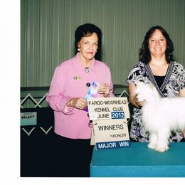 Chinese Crested Puppies from Breezy Meadows