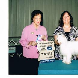 Chinese Crested Puppies from Breezy Meadows