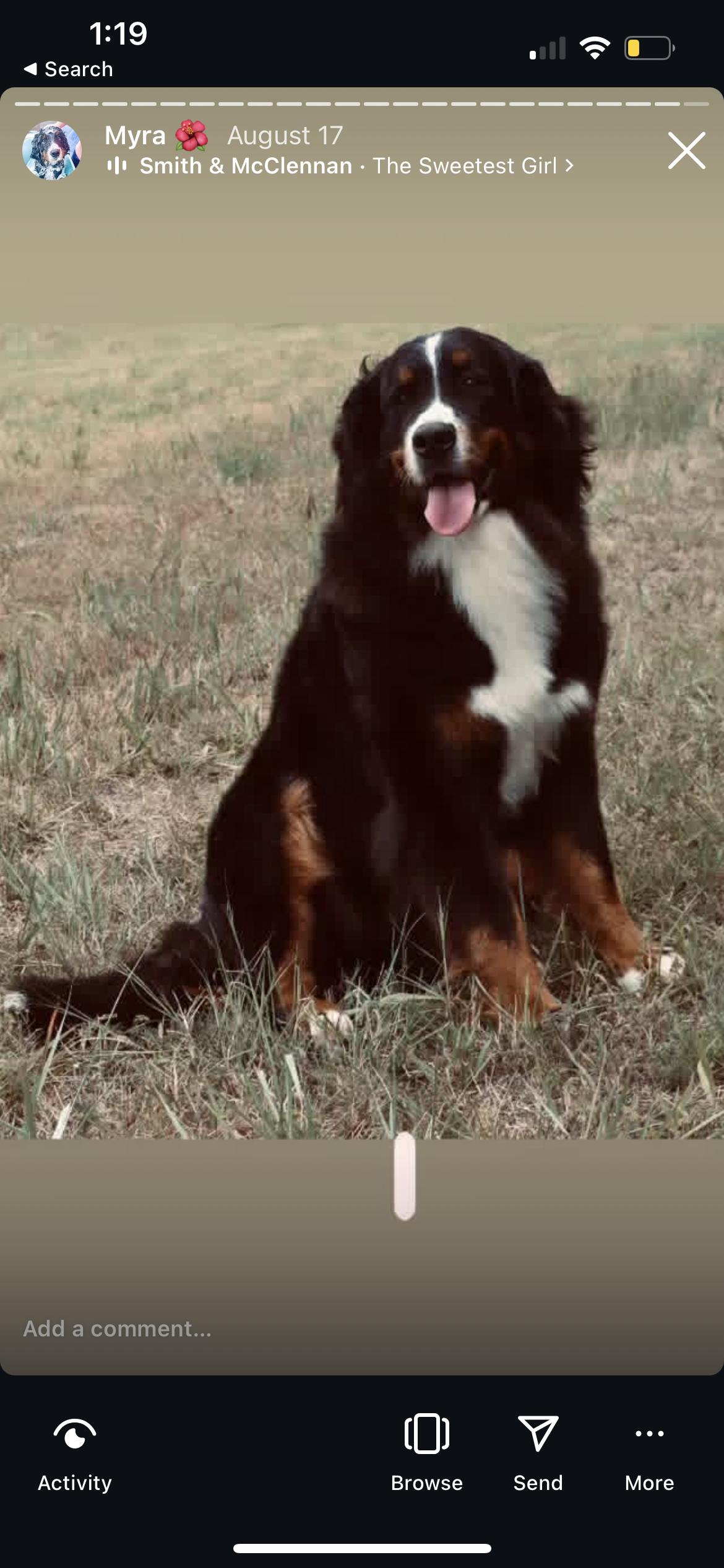 Myra