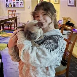 Adam - Blue fawn male French Bulldog puppy in Pine Township, Pennsylvania from BlueCairo Frenchies