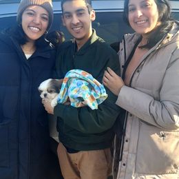 Shih Tzu Puppies from N.F.S.T Imperial ShihTzu Puppies.