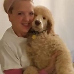 Poodle Puppies from Barbi's Standards
