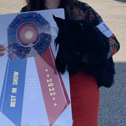 Scottish Terriers and Sealyham Terriers from Pegfield