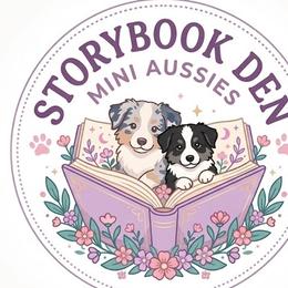 Miniature Australian Shepherds from Storybook Den Mini Aussies
