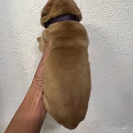 Purple - Yellow female Labrador Retriever puppy in Husser, Louisiana from Kristen