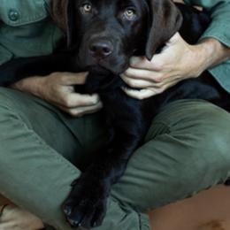 Labrador Retriever Puppies from Tried & True Labradors