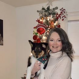 Collie and Yorkshire Terrier Puppies from Jolly Collies & Kingdom Elite Yorkshire Terriers