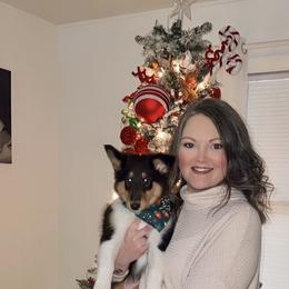 Collie and Yorkshire Terrier Puppies from Jolly Collies & Kingdom Elite Yorkshire Terriers