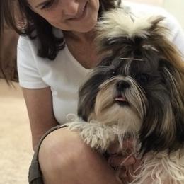 Shih Tzu Puppies from Willow Lane Shih Tzus