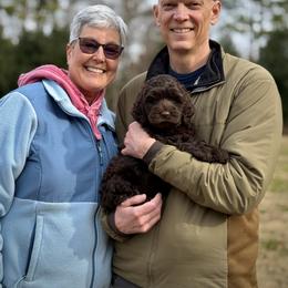 Lucky Country Scout - Chocolate female Australian Labradoodle puppy in Wake Forest, North Carolina from Lucky Country Labradoodles