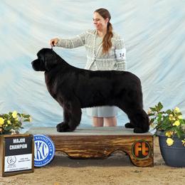 Roxy - Newfoundland