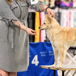 Mudis from Selenite Mudi