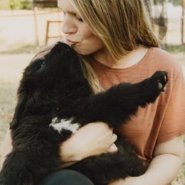 Newfoundland Puppies from Rainshadow Newfoundlands