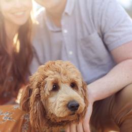 Goldendoodles from Summertime Goldendoodles