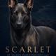 Scarlett of Kaizen Ruach