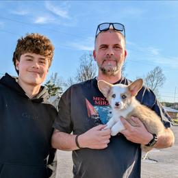 Kirk - Fawn merle male American Corgi puppy in Shawnee, Oklahoma from Sunray Ranch