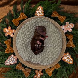 Pecan - RTM - Red tri male Miniature Australian Shepherd puppy in Oklahoma City, Oklahoma from Outland Toy & Mini Aussies