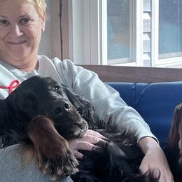 English Setters and Gordon Setters from Windsor Setters