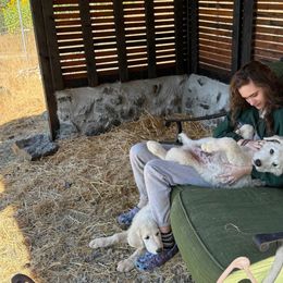 Valka - White female Maremma Sheepdog puppy in Kings County, California from Prancing Pony Farm Maremma Sheepdogs
