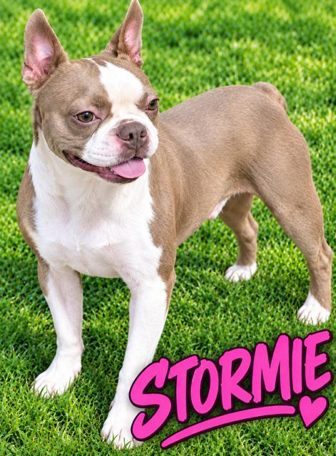 STORMIE
