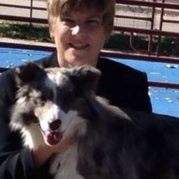Border Collies from Maggie's Border Collies