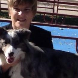 Border Collies from Maggie's Border Collies