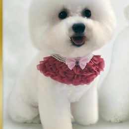 Bichon Frises, Bulldogs, and French Bulldogs from Arralaine Pups