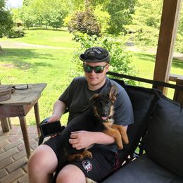 German Shepherd Puppies from Von Hoene Heritage Shepherds