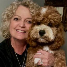Assorted Doodle Crosses, Cavapoos, Cockapoos, and Poodles from Doodles by Tatum