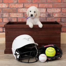 Ms Purple - Light golden Golden Retriever puppy in Sheridan, Indiana from Majestic Manor Goldens