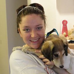 Saluki Puppies from Kushiel Salukis