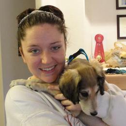 Saluki Puppies from Kushiel Salukis