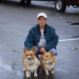 Pembroke Welsh Corgis from Lone Oak Corgi's