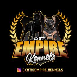 Cane Corso puppies from Exotic Empire Kennels LLC