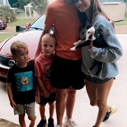 Boston Terrier Puppies from Bonze Boston Terriers