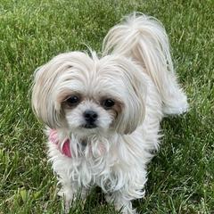 Mi-Kis from Regalo Mi-ki’s